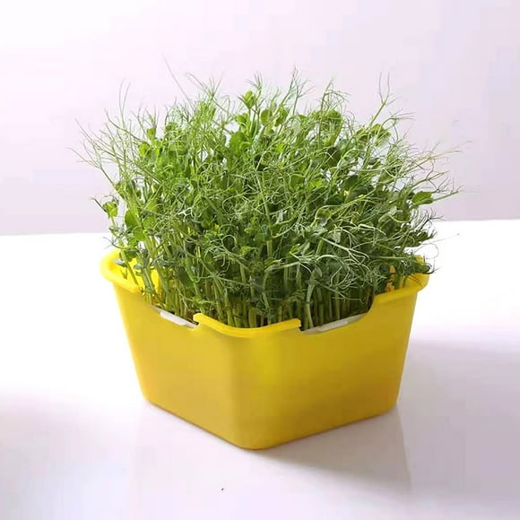 taicans Garden Seed Sprouter,Double Layer Bud Sprouts Bean Seed Hydroponics Wheat Grass Implant Nursery Tray,Wheatgrass Cat Grass Seedling Planting Trays for Garden Home office-Yellow