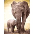 thumbnail image 1 of Cuadros Decorativos Cuadros de lienzo al óleo de elefante para el hogar, pintura pintada a mano DIY por números, Kit artesanal Ehuebsd Nuevos Originales, 1 of 8