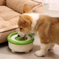 thumbnail image 5 of Automatic Floating Pet Water Bowl for Cats & Dogs | Gentle on Beard, Foolproof to Clean | 1500ml Large Capacity, Dishwasher Safe | Suitable for Small to Medium Pets, 5 of 6