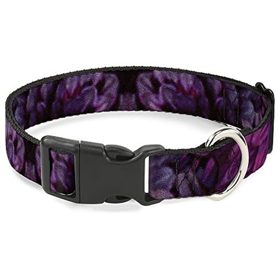 buckle-down bac-w32213-nl breakaway cat collar, 1 2" wide - fits 9-15" neck - large, floral