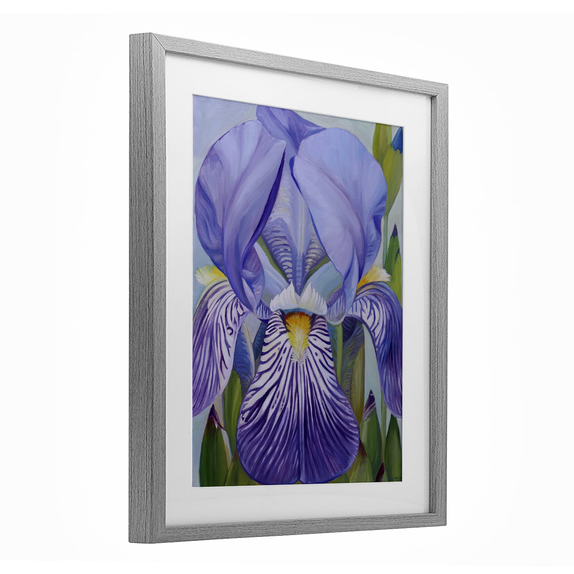 Stupell Industries Blooming Purple Iris Petals Gray Framed Print Under Glass, design by Violeta Vollmer