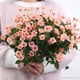 thumbnail image 2 of Artificial Pequeña Rosa Flores Silvestres Falsas Flores Al Aire Libre Ramo De Seda Floral Interior Exterior Maceta Colgante Hogar Cocina Oficina Boda Jardín Decoración 3 Piezas Blanco brillar  Electrónica, 2 of 3