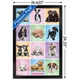 thumbnail image 2 of Keith Kimberlin - Puppies - Cuties Grid, 2 of 4