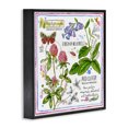 thumbnail image 3 of Stupell Industries Cottage Wild Herbs Diagram Black Framed Giclee Art, 12 x 12, by Jane Maday, 3 of 8
