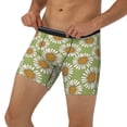 thumbnail image 2 of Sigee Daisies Flowers for Men's Boxer Briefs,Moisture Wicking and Breathable Large, 2 of 9