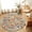 Beige, variant on Small Round Rug 3Ft, Boho Beige Flowers Non-Slip Washable Circle Rugs Carpet, Spring Abstract Watercolor Floral Leaf Indoor Outdoor Rug Floor Mats Throw Runner for Bedroom Living Room Bathroom