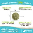Raw Paws Natural Catnip Ball for Cats (6ct) Interactive Cat Toy for