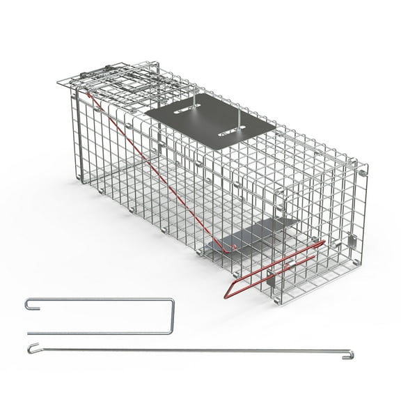 24" Humane Live Animal Cage Trap Catch and Release Heavy Duty Squirrel Trap with Safe Carrying Handle Collapsible Raccoon Trap for Feral Cats Squirrel Raccoons Rabbits