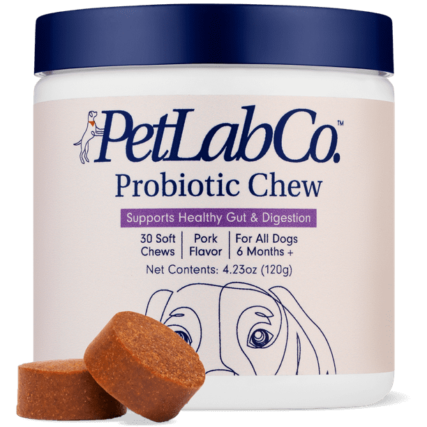 Can You Give Too Much Probiotics To Dogs