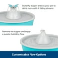 thumbnail image 5 of PetSafe Drinkwell Butterfly Pet Fountain - Automatic Dog and Cat Water Bowl, 5 of 12