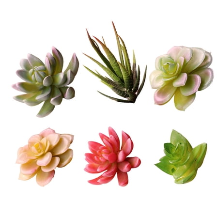 unbranded  6 Pcs Succulent Plant Decor Ornament Artificial Cactus Large Faux Succulents