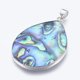 thumbnail image 1 of Abalone Shell/Paua Shell Pendants with Brass Findings teardrop Platinum 46.5x32x3mm Hole: 4x5mm, 1 of 2