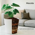 thumbnail image 2 of Maceta Cónica Elly Décor Color Blanco 13 L con Drenaje Roscable y Protección UV para Interior y Exterior, 2 of 5