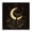 Celestial Mushroom Moon Floral, variant on Stupell Industries Eclectic Black Framed Giclee Art, 12 x 12, by Ahmed Sameh Hussein