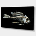 thumbnail image 2 of Fish Skeleton Bone on Black - Animal Canvas Art Print, 2 of 3