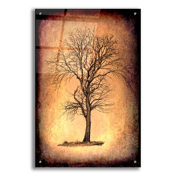 Epic Art 'For the Love of Trees II' by Lightbox Journal, Acrylic Glass Wall Art, 24"x36"