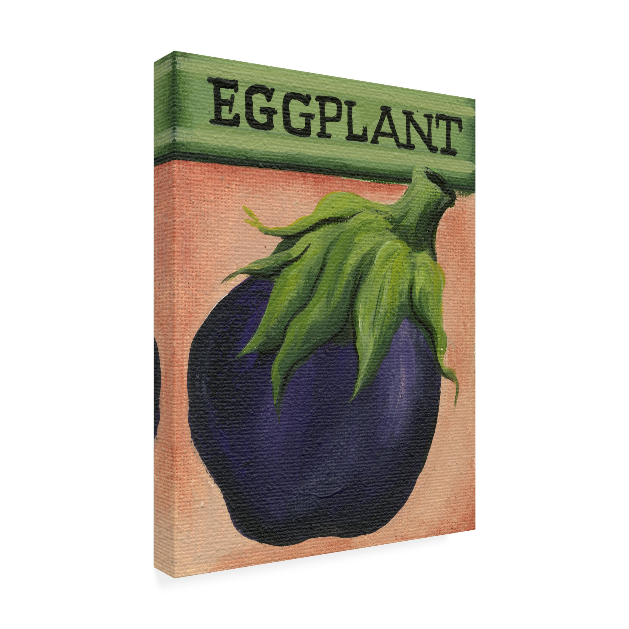 Canvas Wall Art - Debbi Wetzel 'Seed Packets 09 - Eggplant' Wall Art for Living Room, Bedroom, or Office Décor by Trademark Fine Art - 14 x 19 Inches