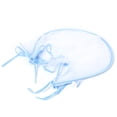 thumbnail image 1 of Mosquitera portátil de protección completa contra insectos y moscas para cochecito de bebé, con borde azul, de ratán., 1 of 10