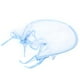 thumbnail image 1 of Mosquitera para cochecito Jadeshay cubierta completa portátil Borde azul, 1 of 8