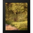 thumbnail image 2 of Kimberly, Allen 15x18 Black Modern Framed Museum Art Print Titled - Sunlit Path 2, 2 of 5