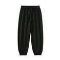 thumbnail image 4 of Busydd Men's Jogging Pants Solid Color Straight Leg Sweatpants Elastic Waist Drawstring Athletic Pants for Men Casual Pants Elastic Bottom Plus Size Sweatpants with Pockets S-5XL, 4 of 5