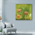 thumbnail image 3 of Trademark Fine Art 'Dream in Pink IX' Canvas Art by Jennifer Jorgensen, 3 of 4