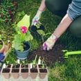 thumbnail image 7 of 240 Cells Seed Starter Tray, 20 Packs Peat Pots Seedling Pots Biodegradable,Seedling Starter Kit, MQINGHOS Organic Germination Plant Starter Trays,Cell Pots with 20 Labels,2 Transplant Tools, 7 of 7