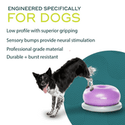 FitPAWS® TRAX™ Donut | Dog Balance Training Platform & Exercise Equipment | Workout Tool for Strength, Core & Stability