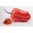 thumbnail image 3 of Unpretentious Habanero Powder, 11 oz, Hot & Spicy, Chili & Sauces, Mexican Cuisine, 3 of 5