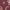 Rose, variant on Modern Moments by Gerber Toddler Girl Sibling Matching Sweater, Sizes 12 Months - 5T