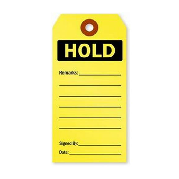 Hold Fluorescent Cardstock Tags with Fiber 3" x 6.25", 100 Tags/Box