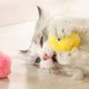 thumbnail image 5 of Billuyoard Juguetes para gatos, pelotas de peluche interactivas para tiempo de juego interactivo, juguetes interactivos de peluche para gatos Juguetes para gatos azul, 5 of 6
