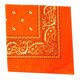 thumbnail image 1 of Bearachild Pañuelo cuadrado para exteriores de 55cm x 55cm, diadema negra y roja de Cachemira estampada para mujeres/hombres/niños/niñas Almacenamiento y organización del hogar naranja Bearachild HA5742-03, 1 of 6