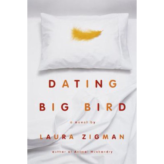 Pre-Owned Dating Big Bird (Hardcover) 0385333404 9780385333405