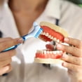 thumbnail image 4 of Cepillo para dentaduras postizas Haikole Dententures Cleaner Aparato dental, 4 of 6