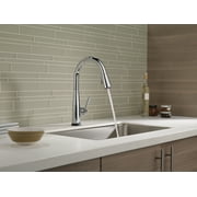 Delta Essa Single-Handle Pull-Down Kitchen Faucet - 9113T-DST - Chrome