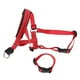 thumbnail image 4 of Bozal para perro NikouMX con collar para la cabeza de nailon ajustable, 4 of 8