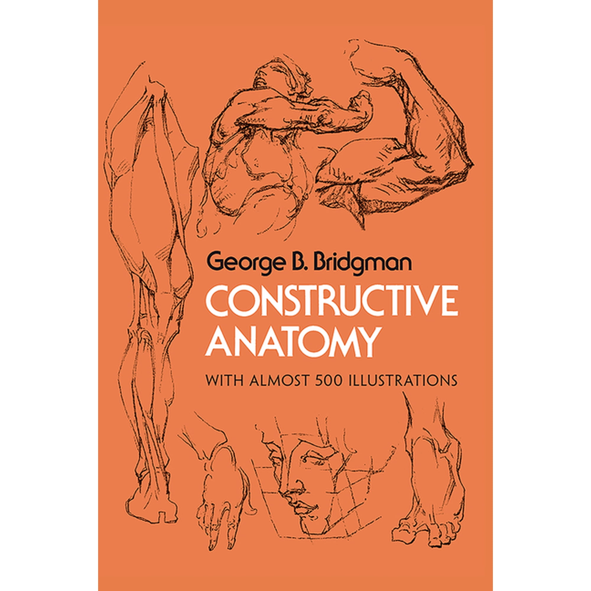 Dover Anatomy for Artists Constructive Anatomy: With Almost 500 Illustrations, (Paperback)