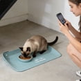 thumbnail image 5 of 15.7"×11.8" Waterproof & Oil-Proof Leather Pet Feeding Mat, Thickened Non-Slip Semi-Enclosed Food Mat with Raised Edges for Containing Spills, Food and Water, Ideal for Dogs and Ca, 5 of 5