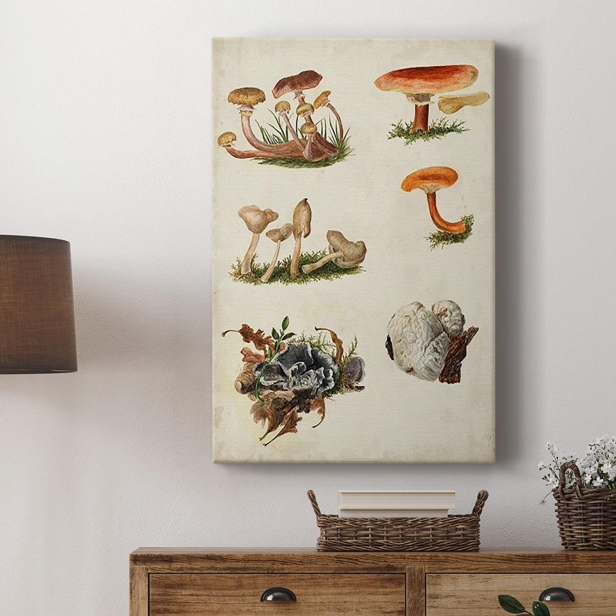Mushroom Species X Premium Gallery Wrapped Canvas - Ready to Hang