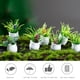 thumbnail image 3 of Maceta pequeña de simulación, decoración de micropaisaje, maceta de flores suculentas, accesorios, decoración de pasteles, decoración de mesa, 16 Uds., 3 of 5