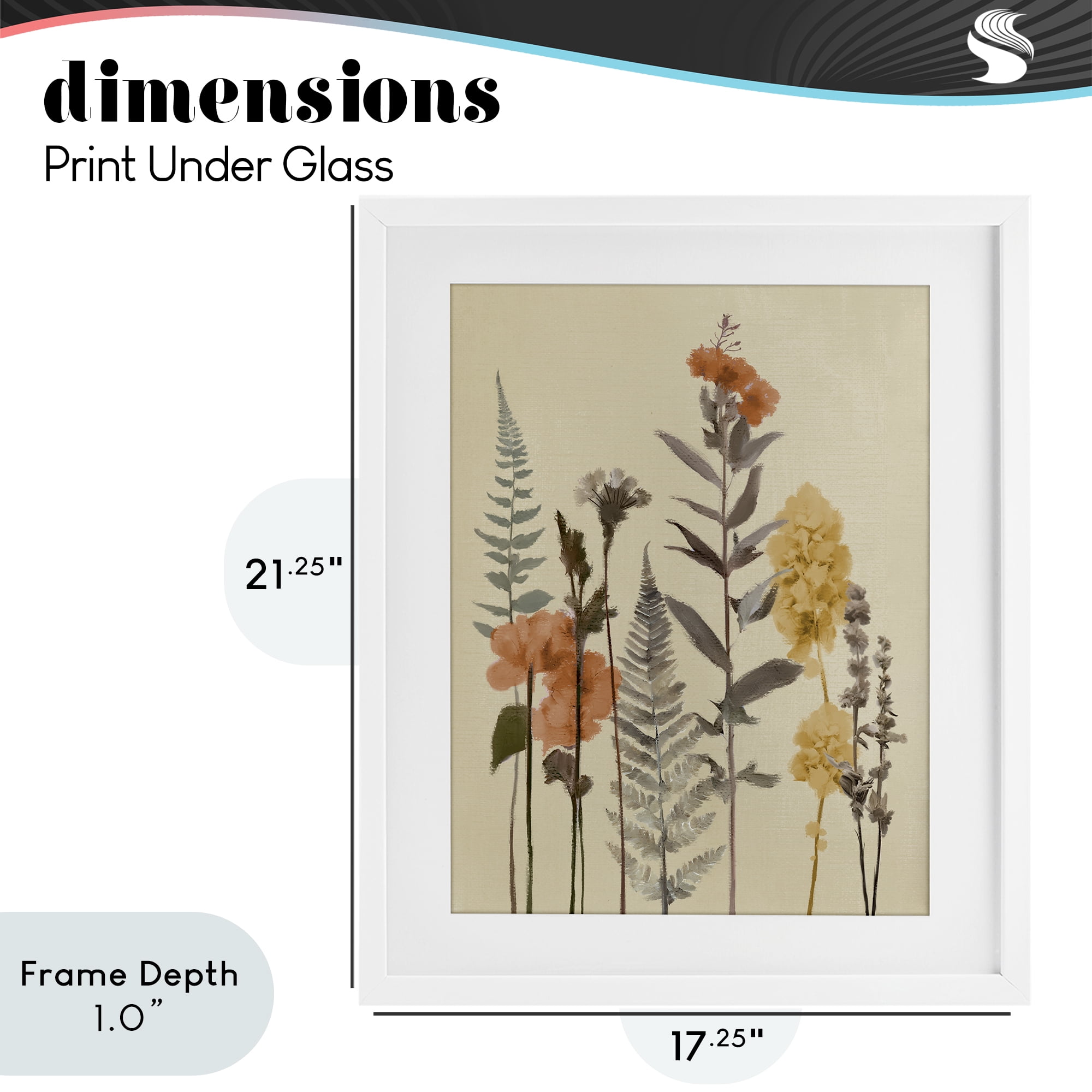 Stupell Industries Fall Botanicals Fresh Ferns White Framed Print Under Glass, design by Elizabeth Medley