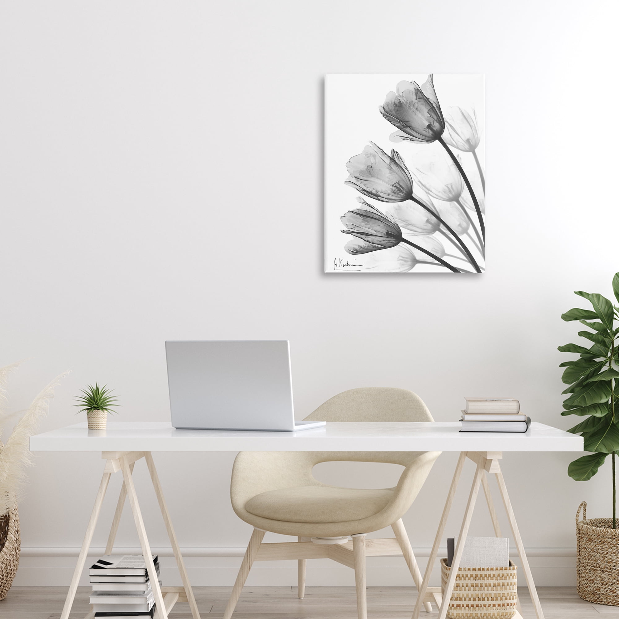 Stupell Industries Minimalist Tulip Fan Canvas Wall Art, design by Albert Koetsier