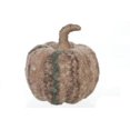 thumbnail image 1 of Citrouille En Polaire, 1 of 3