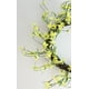 Northlight Jaune Forsythia Brindille Couronne Florale Artificielle, 12 Pouces – image 3 sur 4