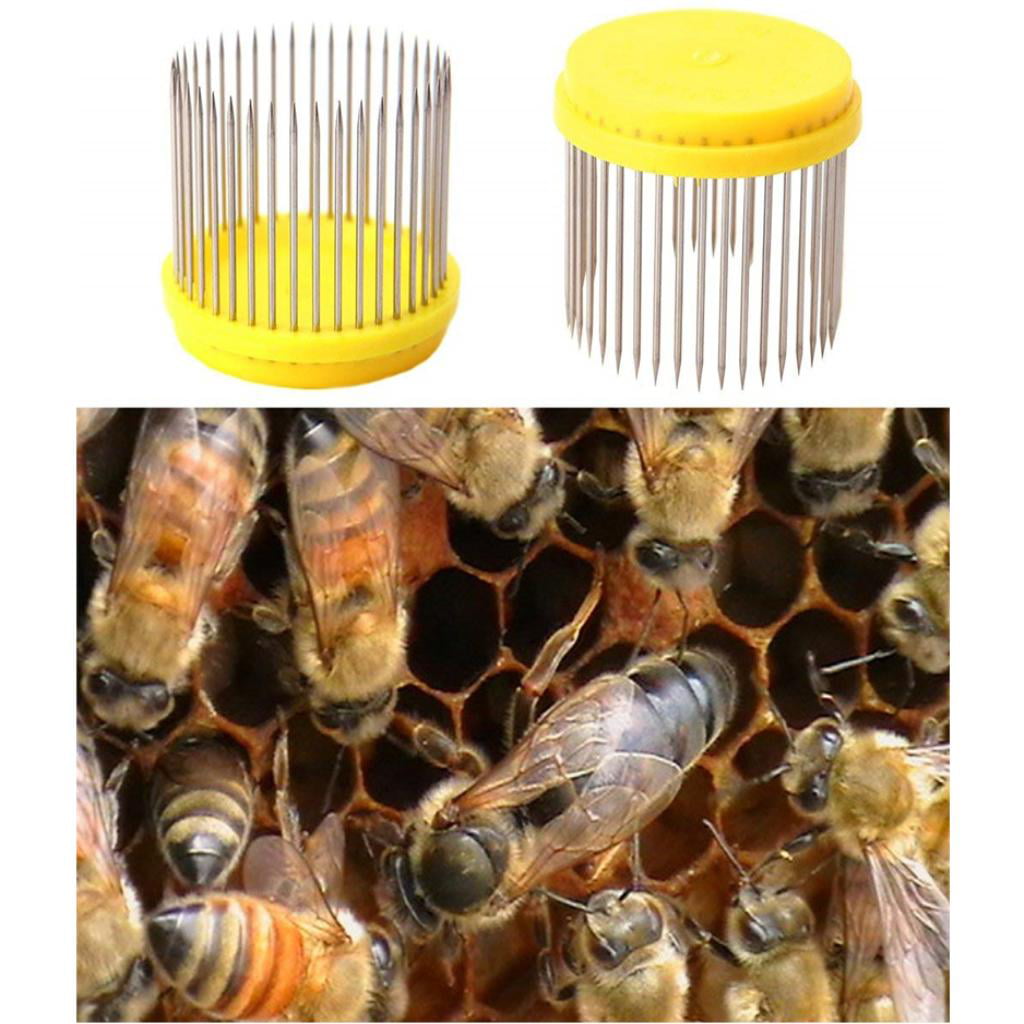1pc Professional Queen Bee Butler Cage Catcher Trap Case Beekeeping Tools 