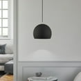 thumbnail image 2 of Livex Lighting 1-Light Modern Metal Single Pendant with Shade in Black, 2 of 11
