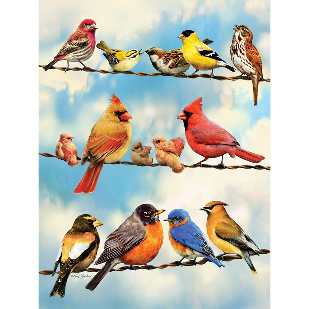 Birds on a Wire 500 Piece Puzzle, Puzzles by Go! Games