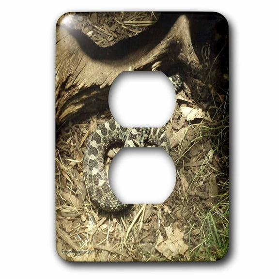 3dRose, Eastern Massasauga Rattlesnake, 2 plug outlet cover