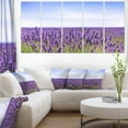 thumbnail image 1 of Close View of Lavender Flower Field - Oversized Landscape Wall Art Print, 1 of 3